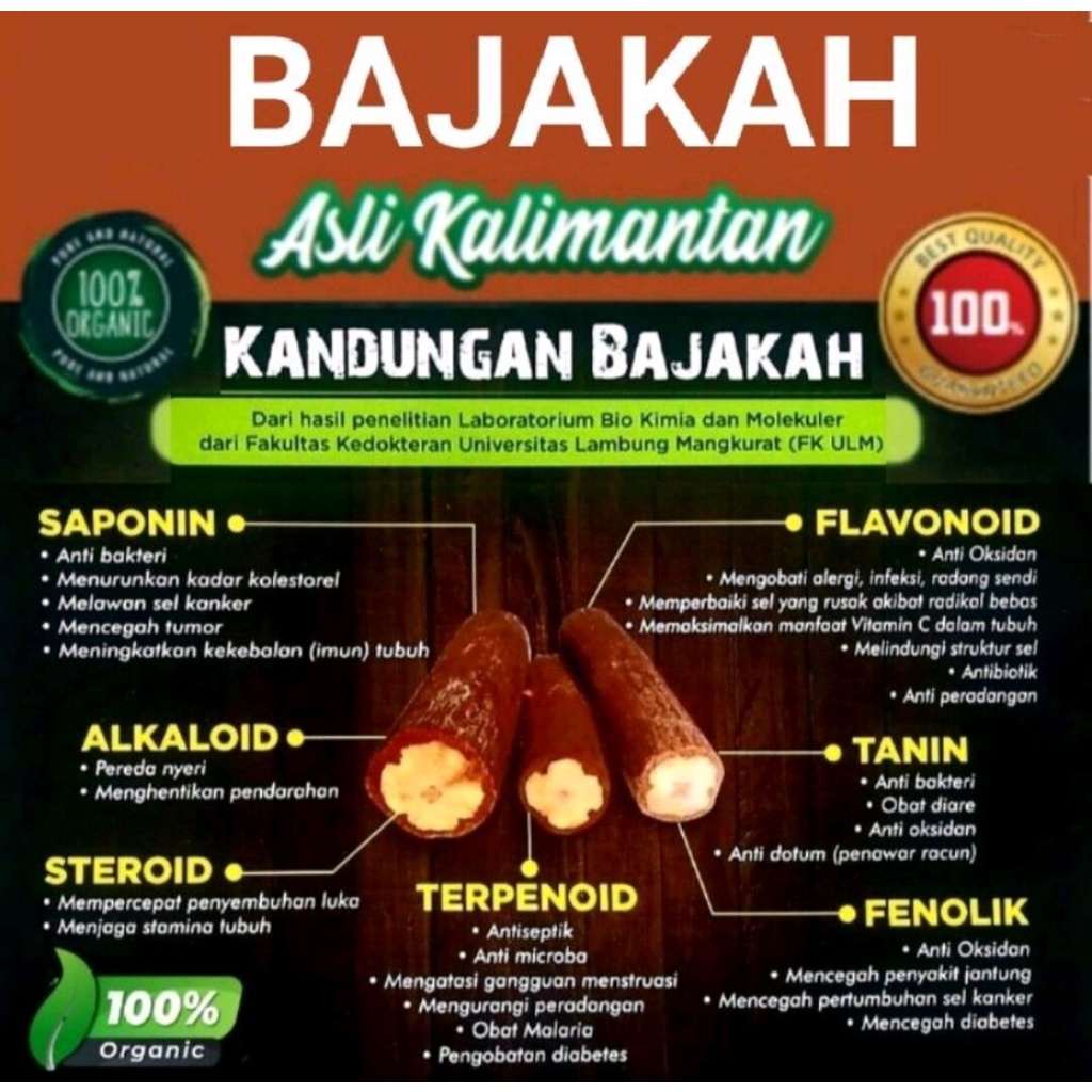 

KAYU BAJAKAH TAMPALA SUPER KALIMANTAN, akar bajakah, teh bajakah, siap seduh , membantu atasi kanker & tumor 1KG TERLARIS