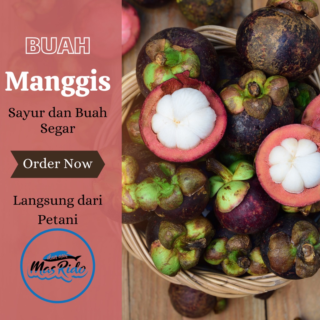 

Buah Manggis Manis Mangosteen Segar Fresh Kwalits Super Harga Murah