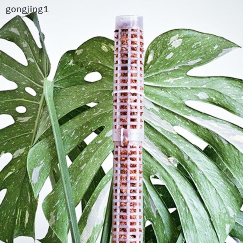 Ggg New 25cm Tongkat Galah Tanaman Panjat Plant Growing Support Stick ID