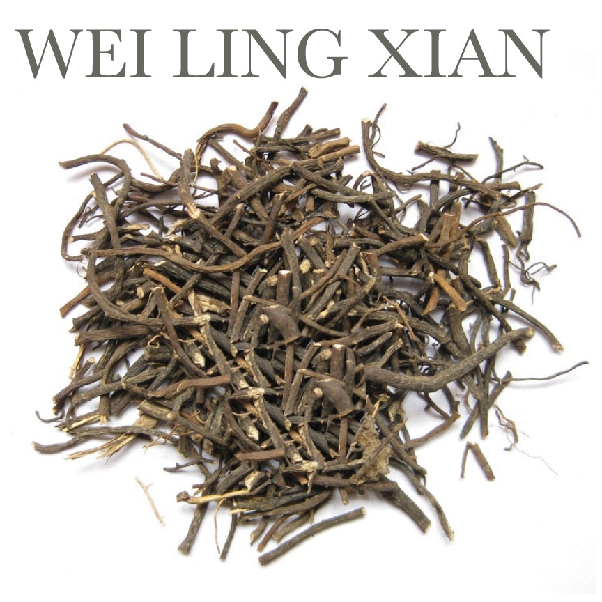 Herbal Wei Ling Xian 600gram - Grade A  Wei Ling Xian / Chinese Clematis Root  Radix Clematidis Chin
