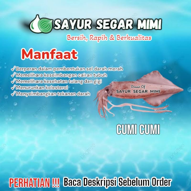 

Cumi-cumi Besar - Sᴀʏᴜʀ Sᴇɢᴀʀ ♏ɪᴍɪ