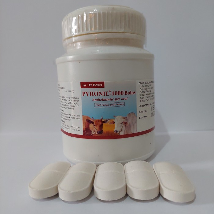 JUAL PYRONIL 1000MG 1 BOLUS 1 TABLET PYRIDAM OBAT CACING CACINGAN HEWAN TERNAK SAPI KAMBINNG
