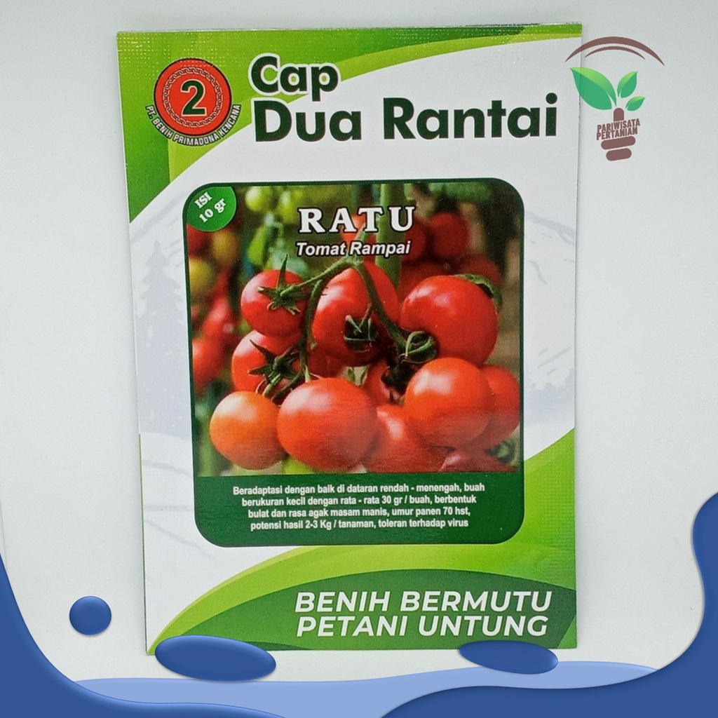 benih tomat INFARM - Benih Bibit Biji Super Tomat Buah Hijau cap dua rantai