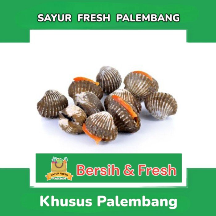 

Kerang Kulit - Sayur Fresh Pasar Perum
