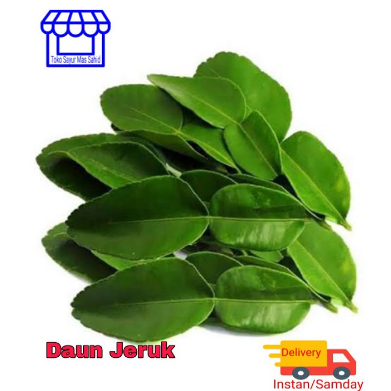 

INSTAN Daun Jeruk Segar Daun Jeruk Fres