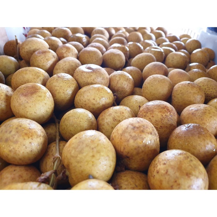 

✨NEW✨ -BUAH KELENGKENG EMAS SUPER MANIS PER Kg - 500 Gram- 2.2.23