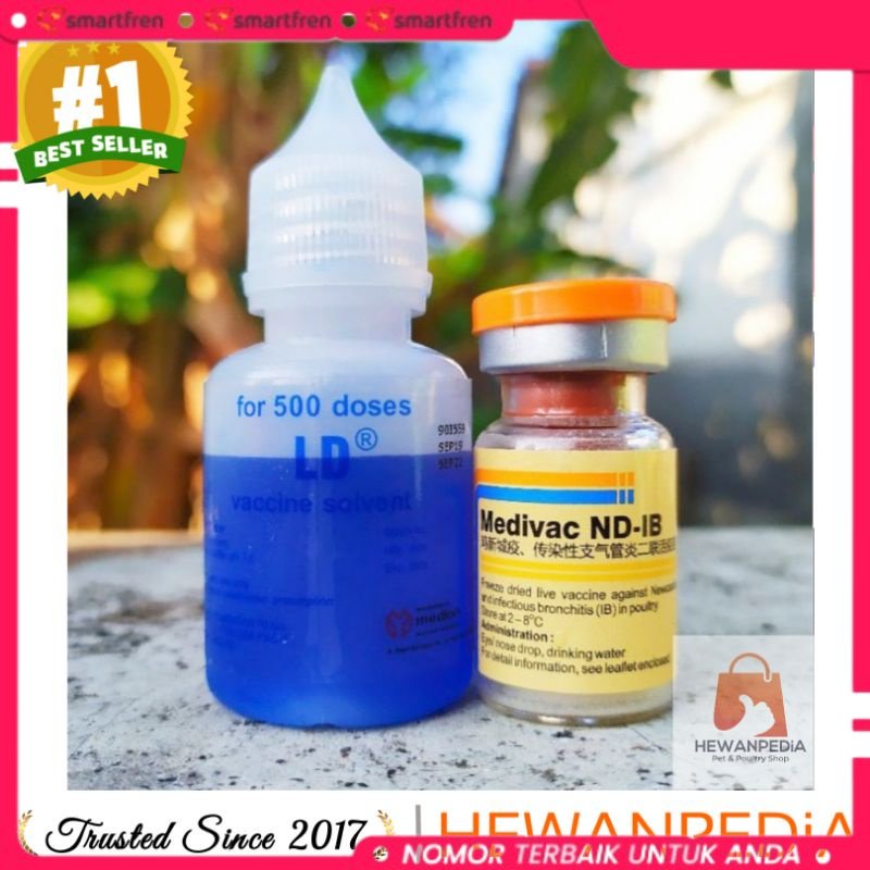 RILIS VAKSIN MEDIVAC ND IB 500 DOSIS + PELARUT MEDION - Vaksin Ayam Tetelo dan Infeksius Bronkitis N