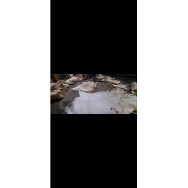 kulit kambing lembaran ukuran jumbo untuk marawis rebana hadroh bedug beduk [ COD ]