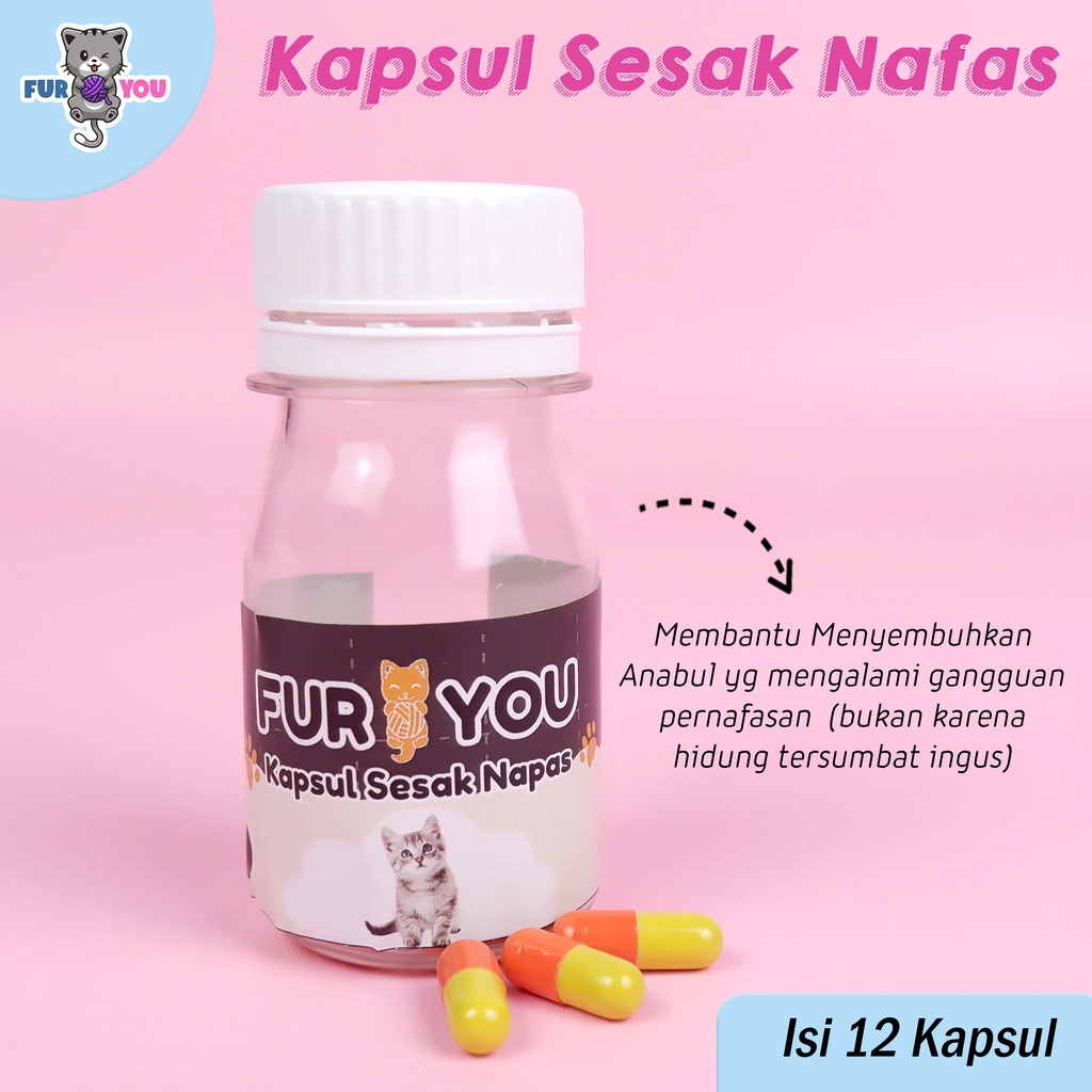 FURYOU kapsul kucing sesak nafas sesak nafas pada kucing