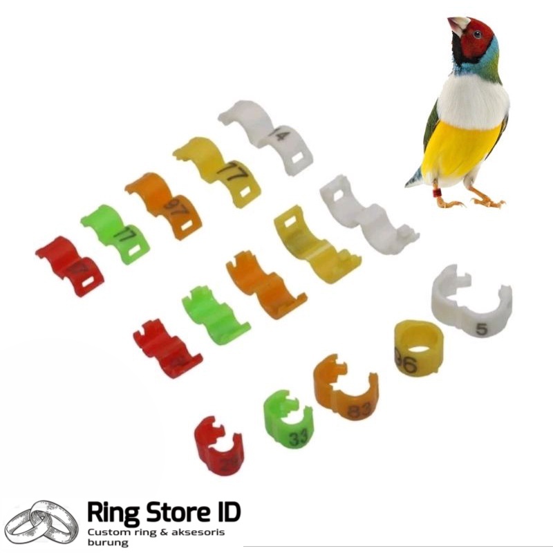 RING KENARI PLECI MURAI KACER BURUNG KICAU