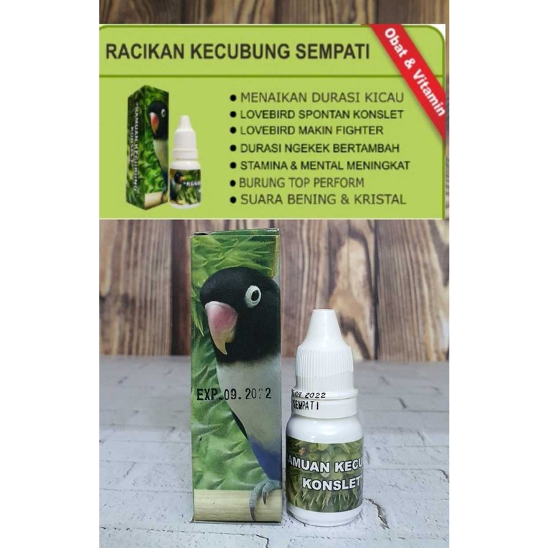 Ramuan Kecubung Konslet Sempati Vitamin Burung Ngekek Fighter Racikan