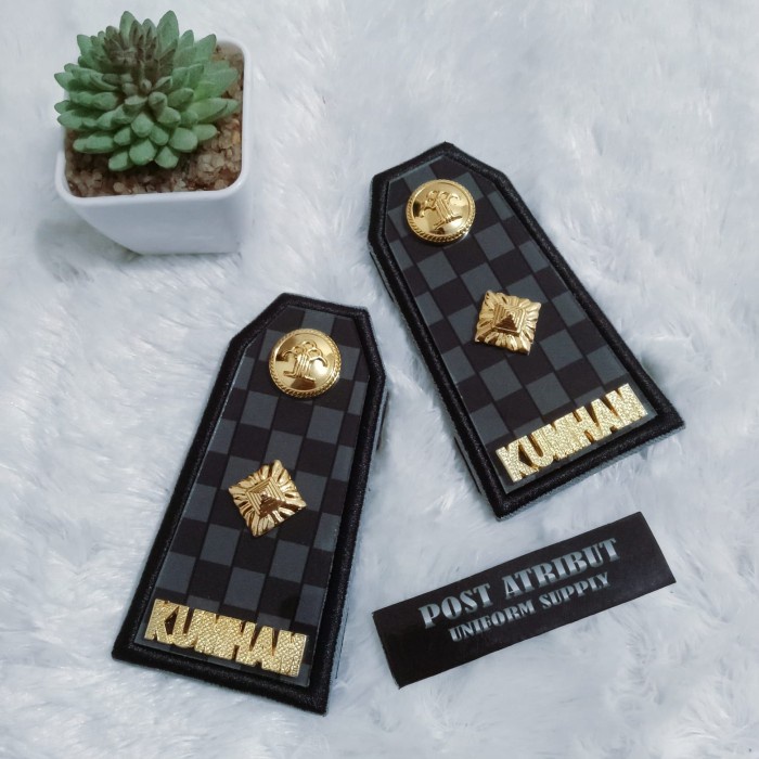 Pangkat PDU KUMHAM Golongan 3A-3D PDU Logam akrilik  - 3A