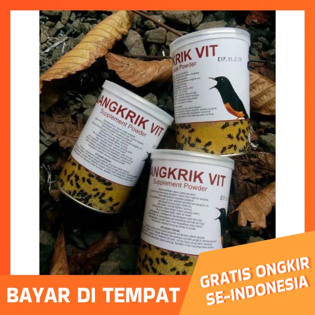 jangkrik vit kaleng