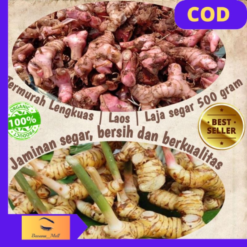 

(COD) Lengkuas segar / laos / laja sudah bersih 1 kg