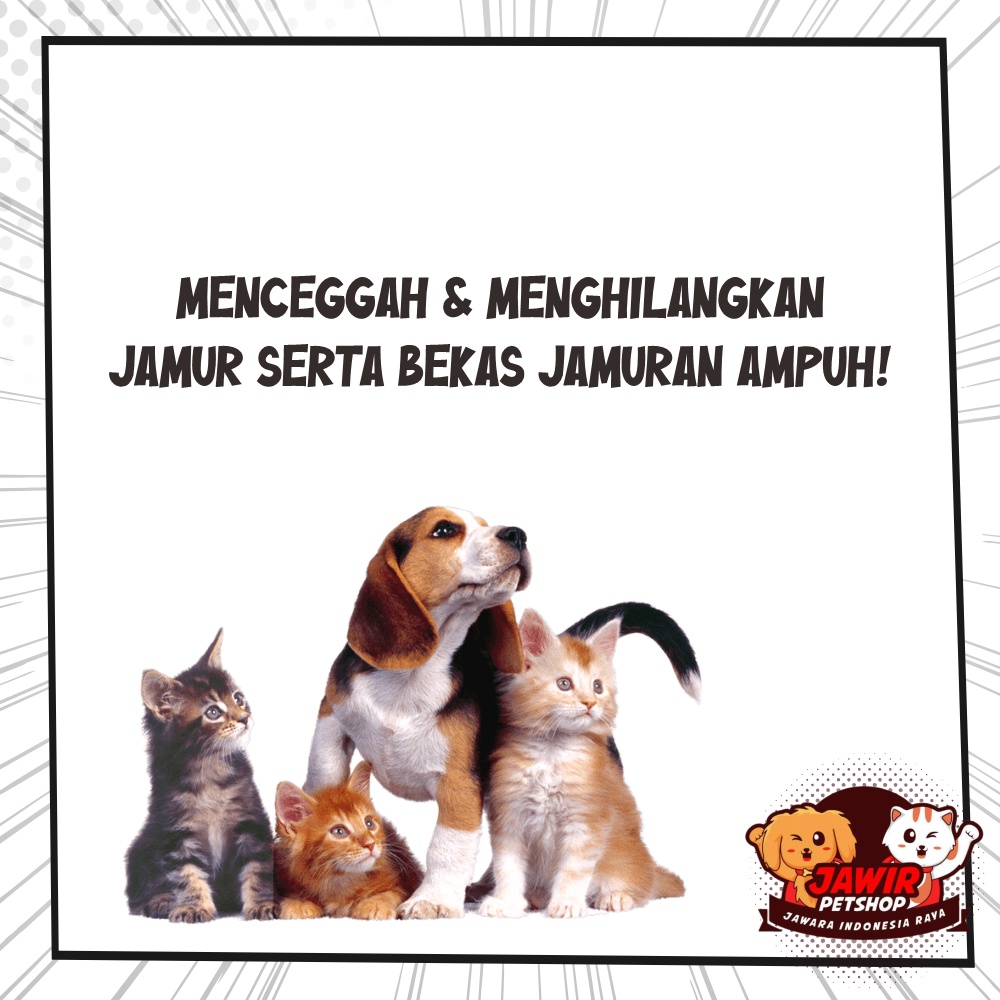 DERMA SPRAY obat anti jamur untuk hewan kucing anjing kulit gatal jamuran kelinci aman anak puppy kitten dog cat semprot infeksi fungal remover removal bagus ampuh kering berair