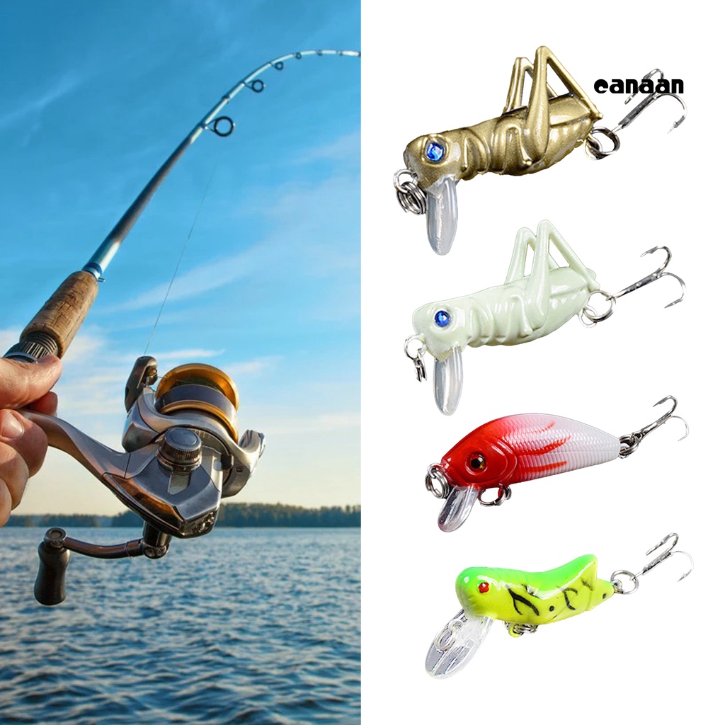Cnn-5pcs 5-warna Umpan Belalang Belalang Buatan Bionic Bentuk Serangga Umpan Pancing Untuk Angling