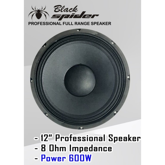 Speaker BLACKSPIDER Type 1240-12 12'' BLACK SPIDER 1240 Original