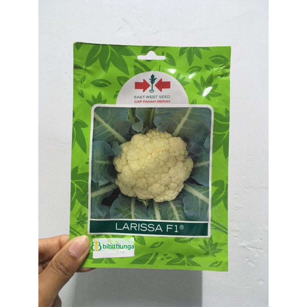 Benih Bibit Sayuran Bunga Kembang Kol Larissa 250 Biji Cap Panah Merah