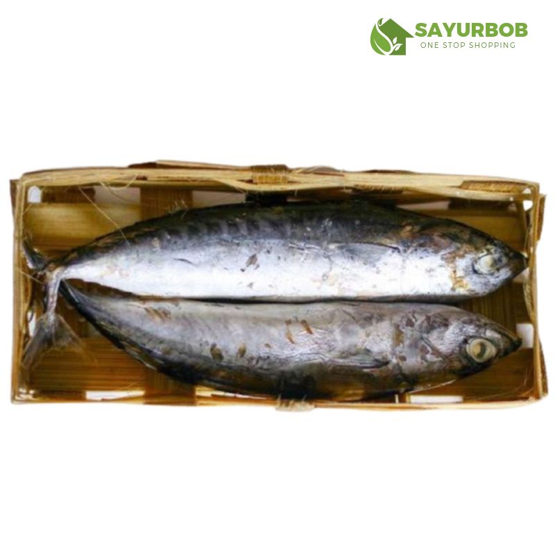 

Ikan Cue Pindang Isi 2pcs SayurBob