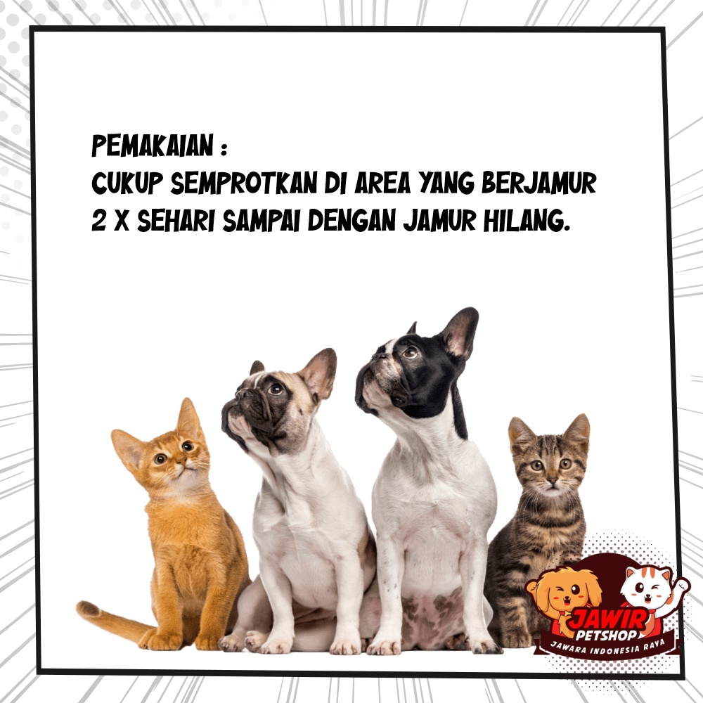 DERMA SPRAY obat anti jamur untuk hewan kucing anjing kulit gatal jamuran kelinci aman anak puppy kitten dog cat semprot infeksi fungal remover removal bagus ampuh kering berair