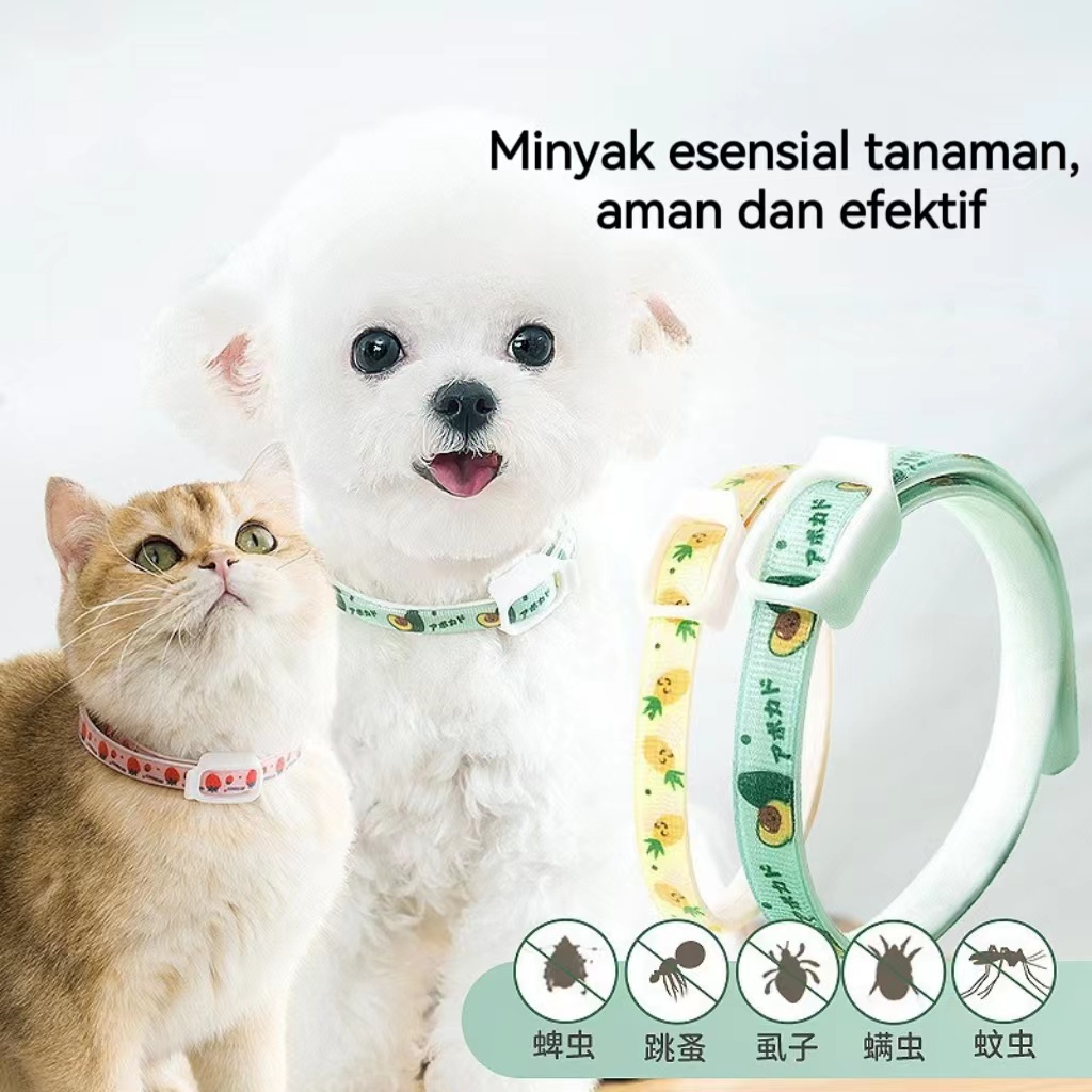 Kalung Anti Kutu Serangga Anjing dan  Kucing/Dog  Cat Flea Tick Collar