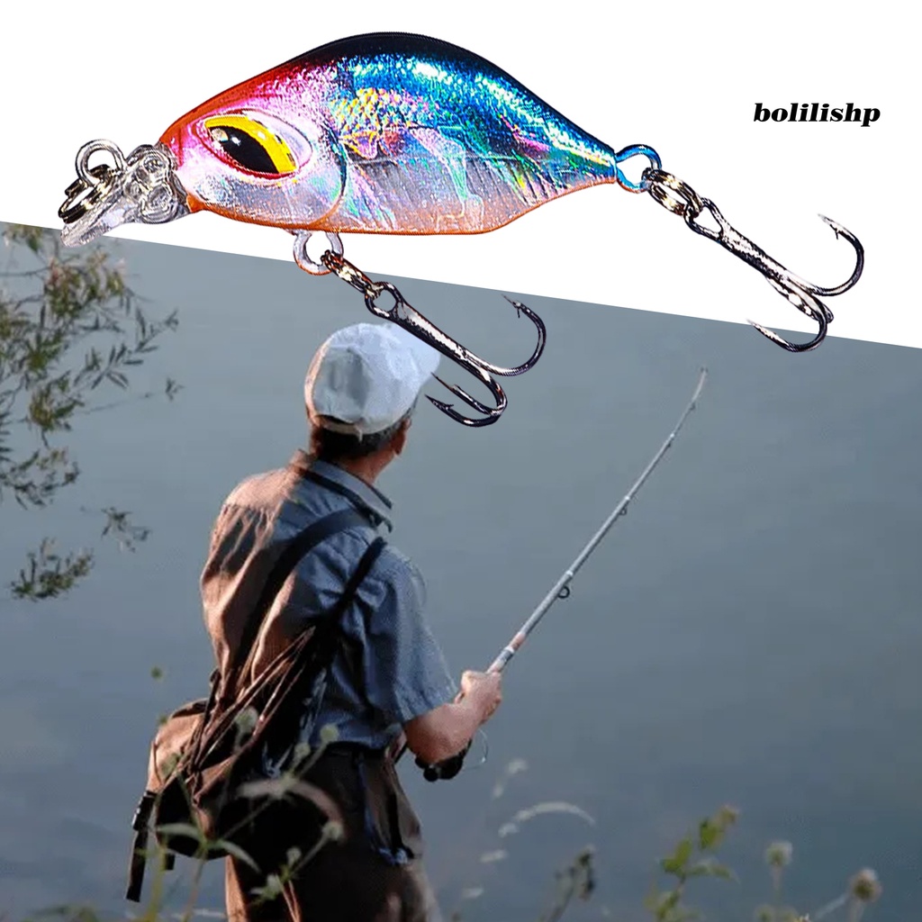 Bo-3.8cm/3.3g Ikan Kecil Umpan Simulasi 3D Fisheye Wobbler Kait Tajam Ganda Mencegah Pelarian Bass Laut Profesional Memancing Umpan Buatan Umpan Keras Memancing Tackle