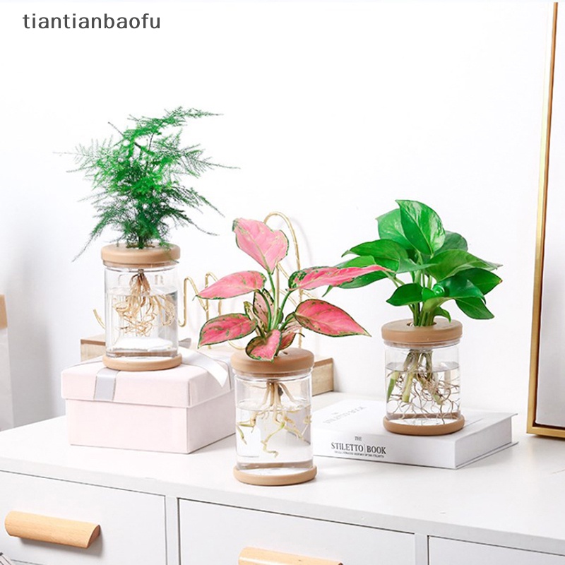 [tiantianbaofu] Pot Tanaman Plastik Vas Plang Air Plastik Transparan Stylish Container Butik