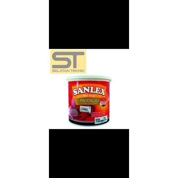 cat tembok sanlex prodigio 5 kg