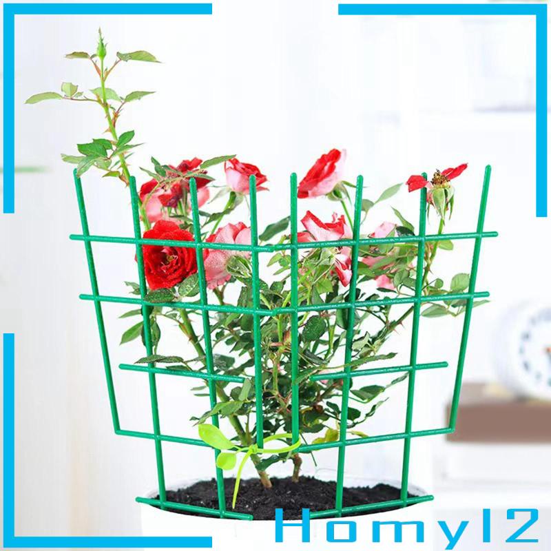 [HOMYL2] Diy Climbing Teralis Untuk Tanaman Rambat Indoor Pot Bunga Kecil Tanaman Panjat