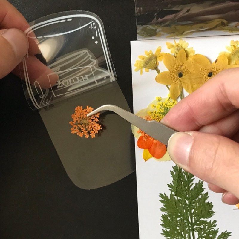 Kreatif Transparan PET Bunga Kering Bookmark/ Tas Penyimpanan Spesimen Tanaman Buatan Sendiri/ Film Plastik Sederhana Botol Timbul Transparan/ DIY Nota Timbul Stiker Hias