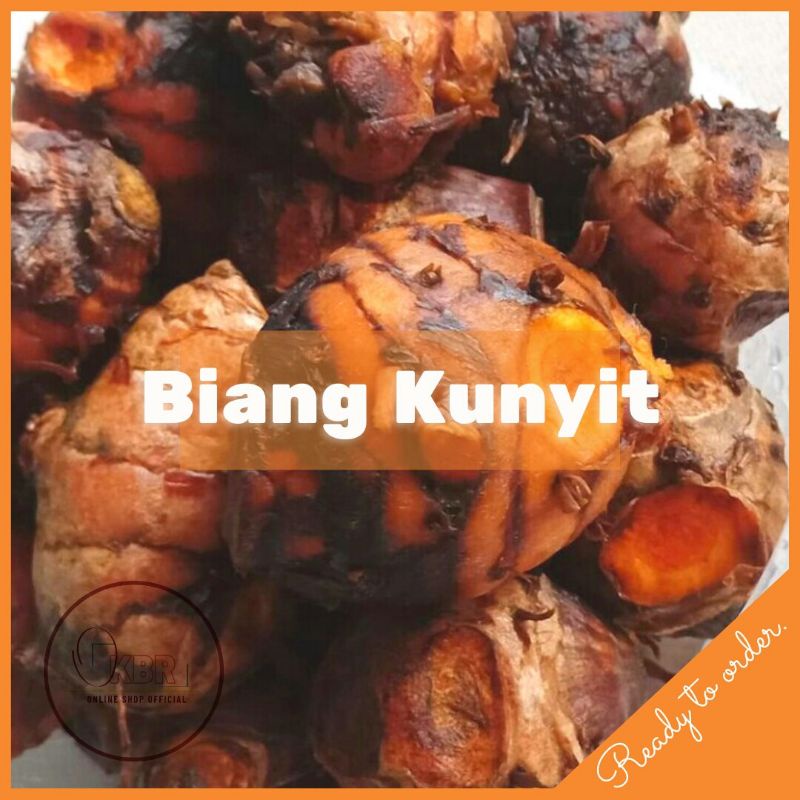 

Biang Kunyit Segar / Biang Kunyit Super