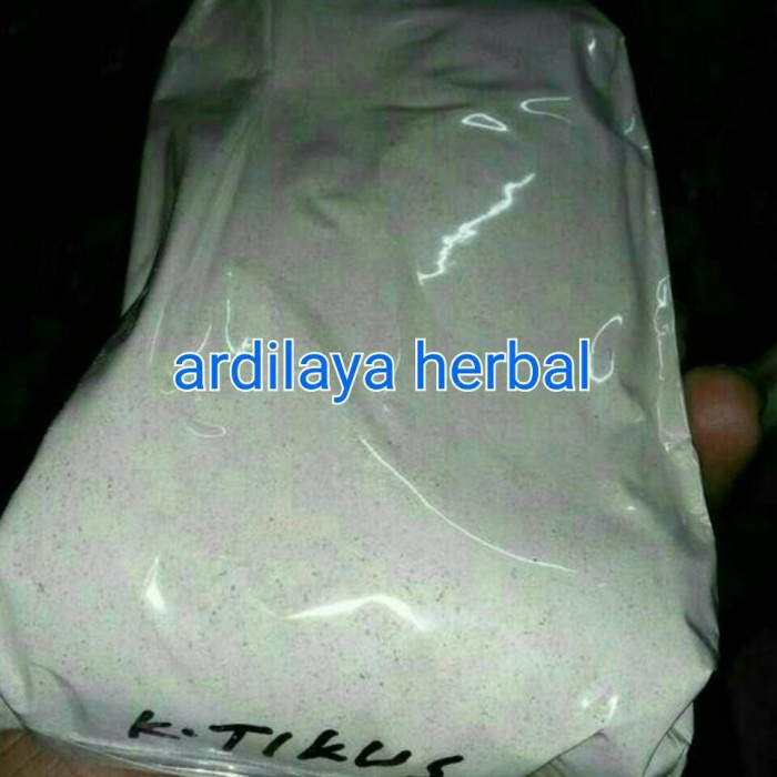 

keladi tikus bubuk 100 gr 100% ASLI