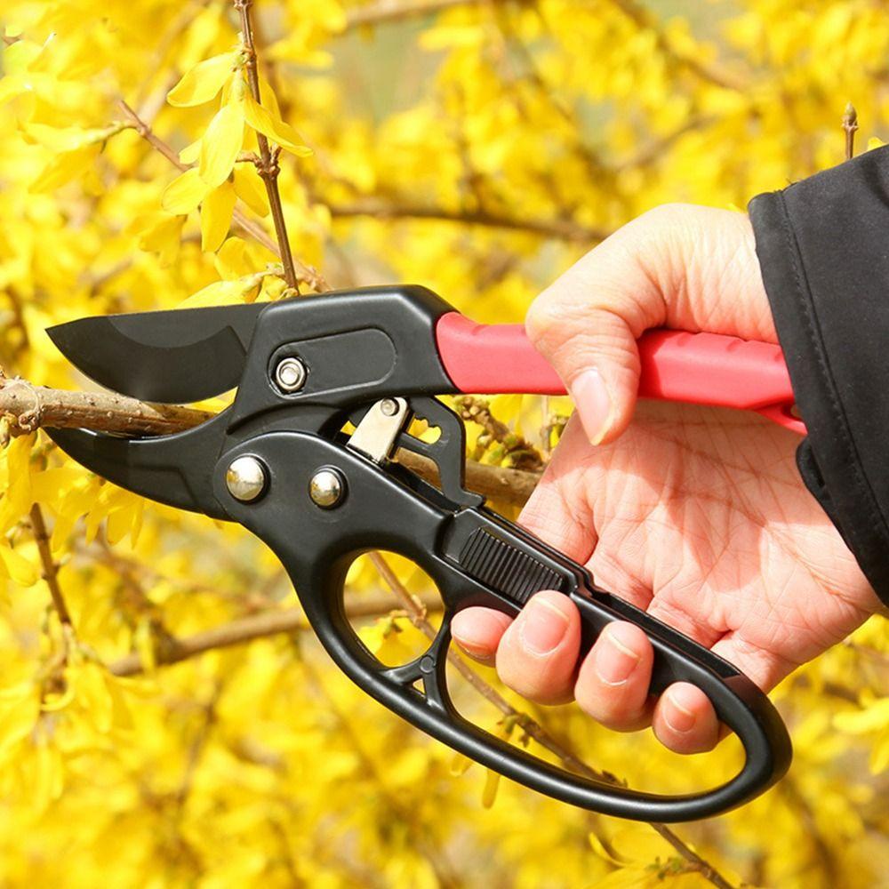 [Elegan] Gunting Pruning Segmen Awet Hemat Tenaga Kerja Berkebun Cepat Pruning Home Pruner Trimmer