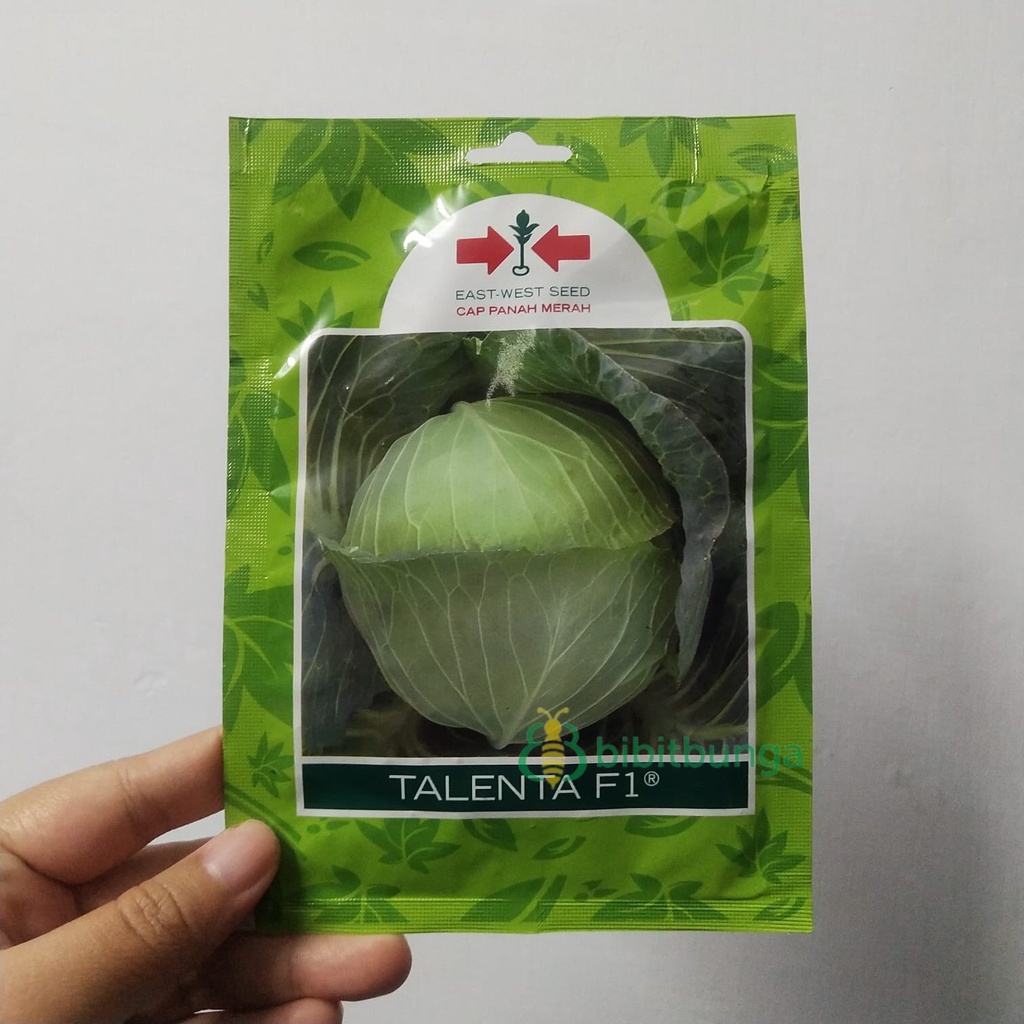 Benih Bibit Kubis TALENTA F1 400 Biji Sayur Hidroponik Cap Panah Merah