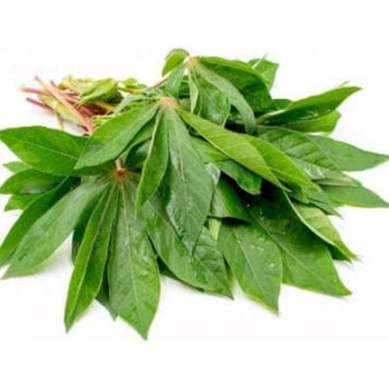 

Daun Singkong