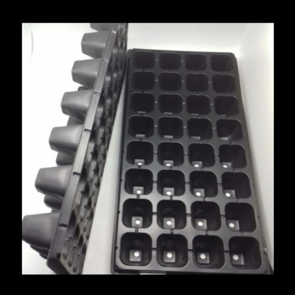 Tray seedling / Tray semai / Media tanam