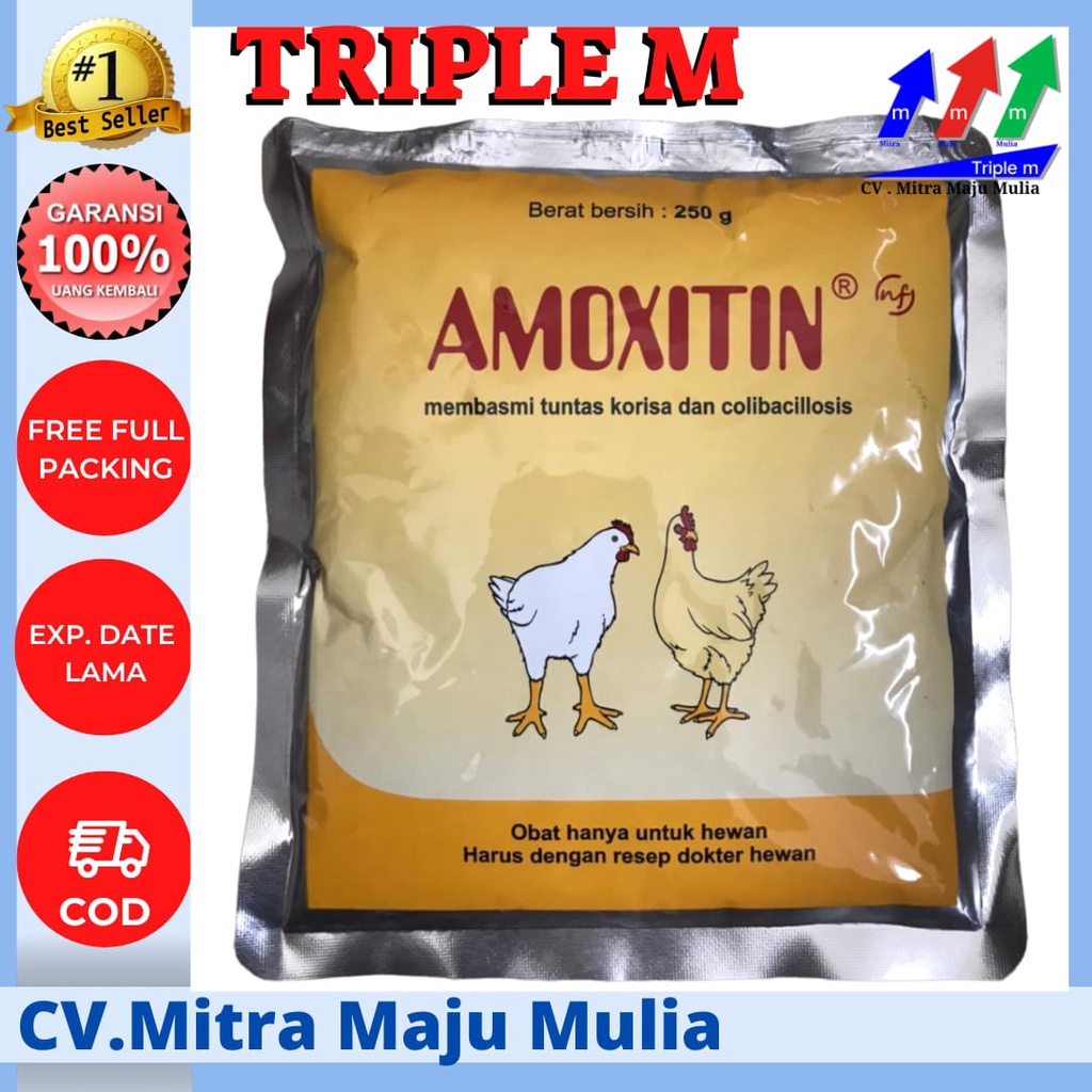 Amoxitin 250 gram MEDION obat korisa