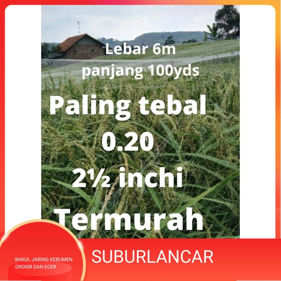 JARING BURUNG PIPIT BURUNG SAWAH/ PERKUTUT/ KELELAWAR/ TEKUKUR/ PELINDUNG BAWANG HIGH QUALITY UKURAN