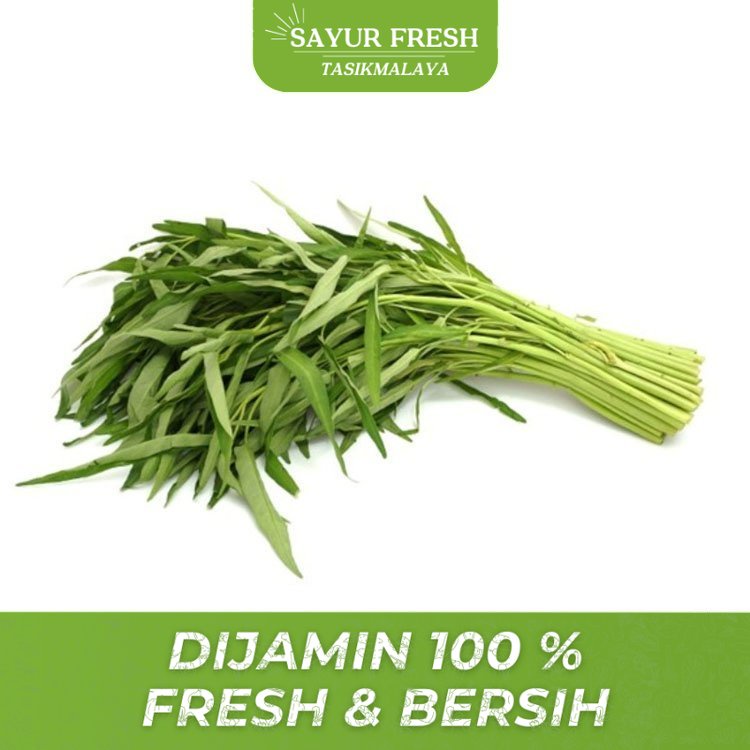 

Sayuran Daun Kangkung 1 ikat - SAYUR FRESH TASIKMALAYA