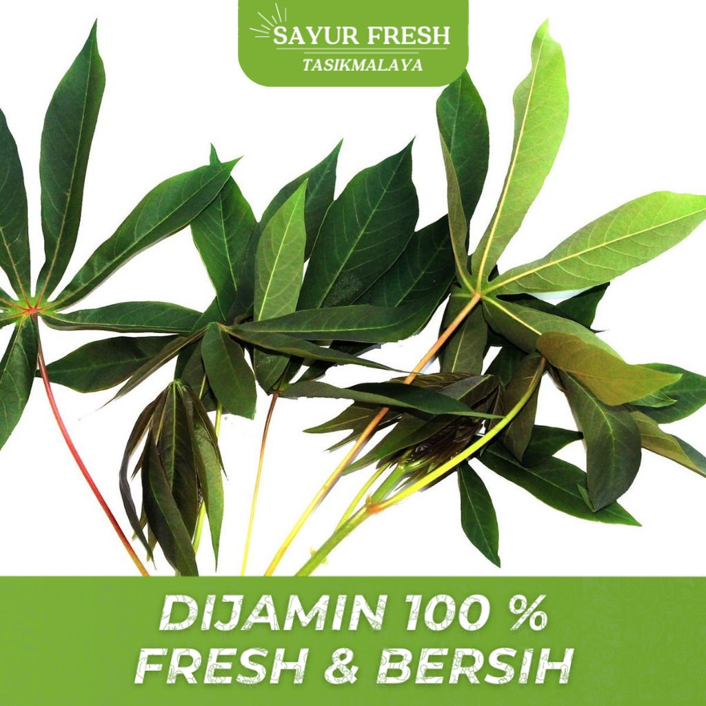

Daun singkong 1 ikat - SAYUR FRESH TASIKMALAYA