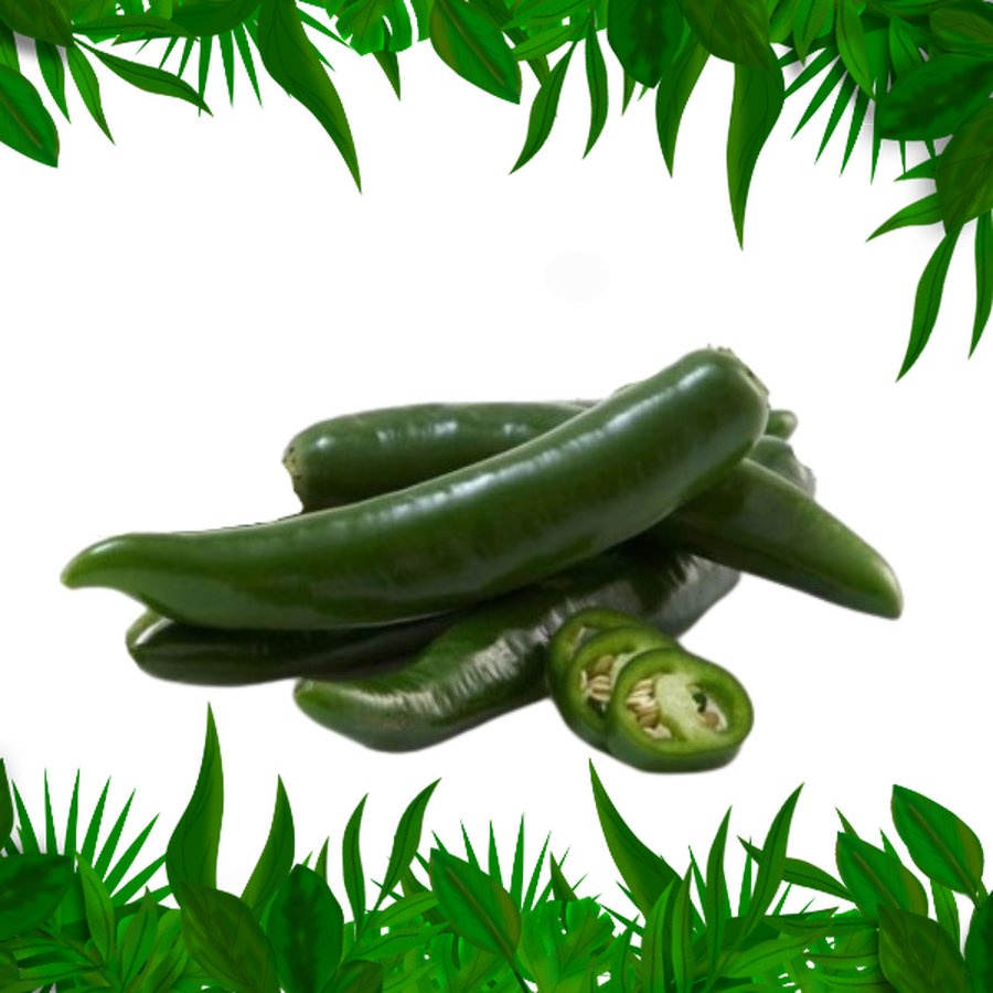 

Sayur Fresh Nusantara - Cabai Hijau Besar Petik 100gr