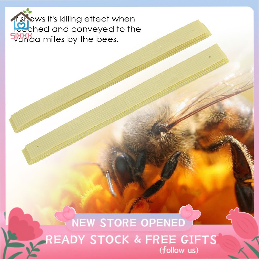 Pembasmi Kutu Koloni Lebah Tawon Tungau Varroa Model Strip Obat Apis strip lebah