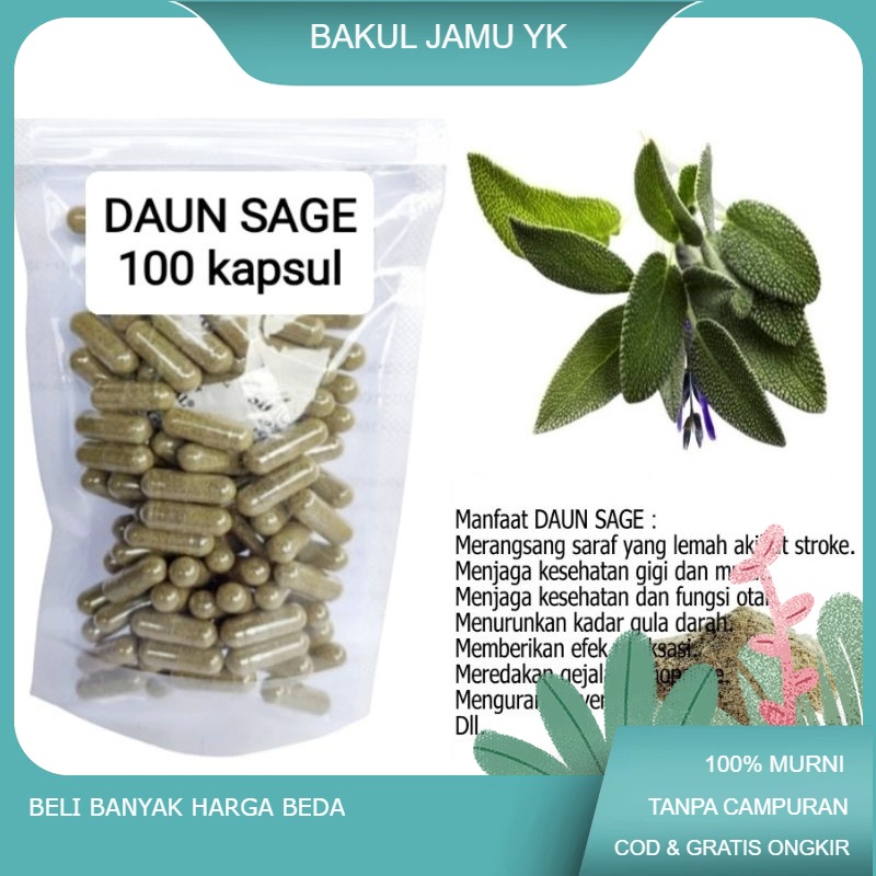 

Daun SAGE (Salvia Officinalis) isi 100 kapsul untuk merangsang saraf yang lemah akibat stroke