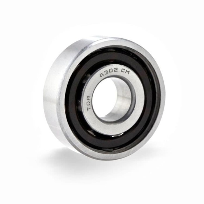 Laher TDR Wheel Bearing 6302 TN9/CM RS1