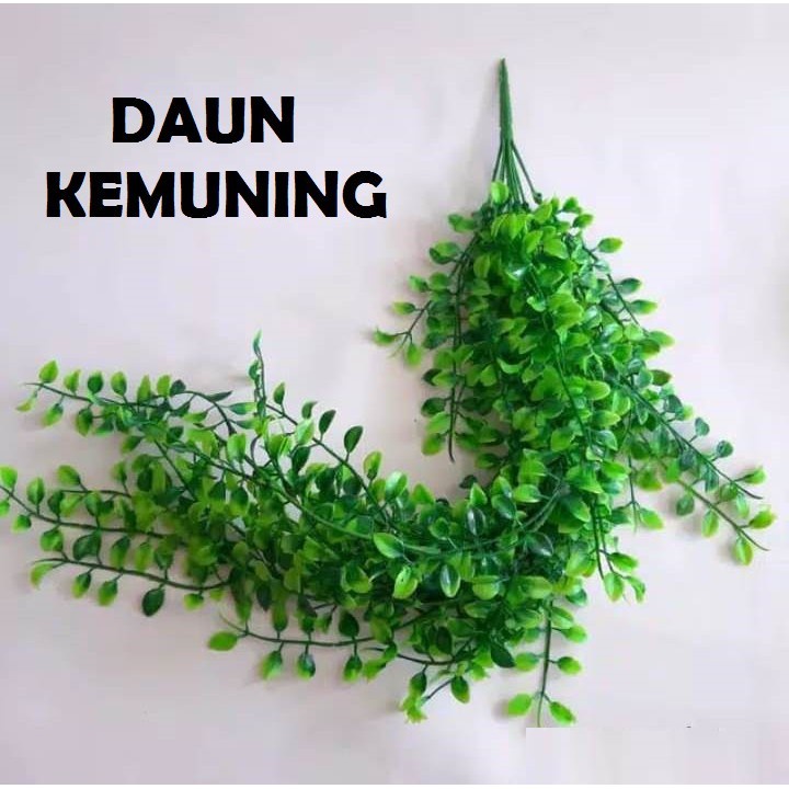 1 PAKET BUNGA KEMUNING + POT GANTUNG TALI / Bunga juntai / daun juntai bahan plastik - daun sulur julur shabb / Bunga juntai pot gantung / Daun gantung / Bunga gantung