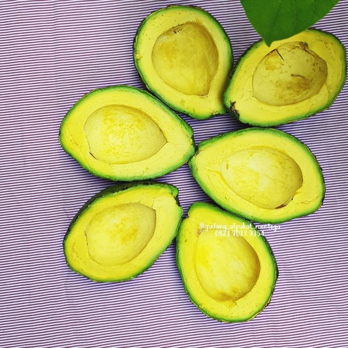 

✨NEW✨ -Alpukat Mentega Reguler- 2.2.23