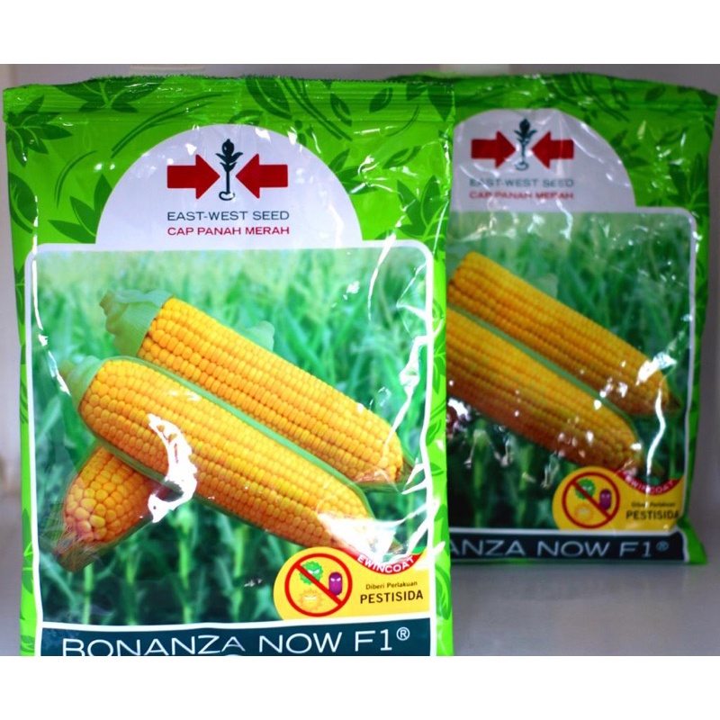 AR BONANZA NOW F1 1800 butir  bonanza f1 jagung manis