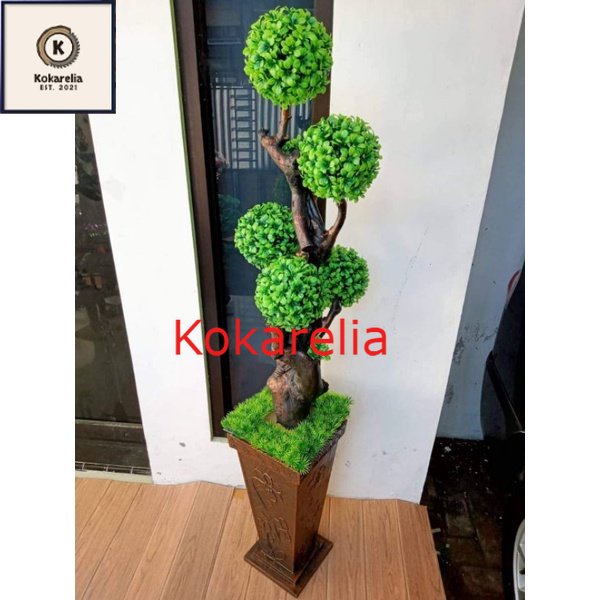 POHON BONSAI BOLA LENGKAP VAS BEBATUAN / POHON BONSAI SERUT / POHON BONSAI BRINGIN / POHON BONSAI BO