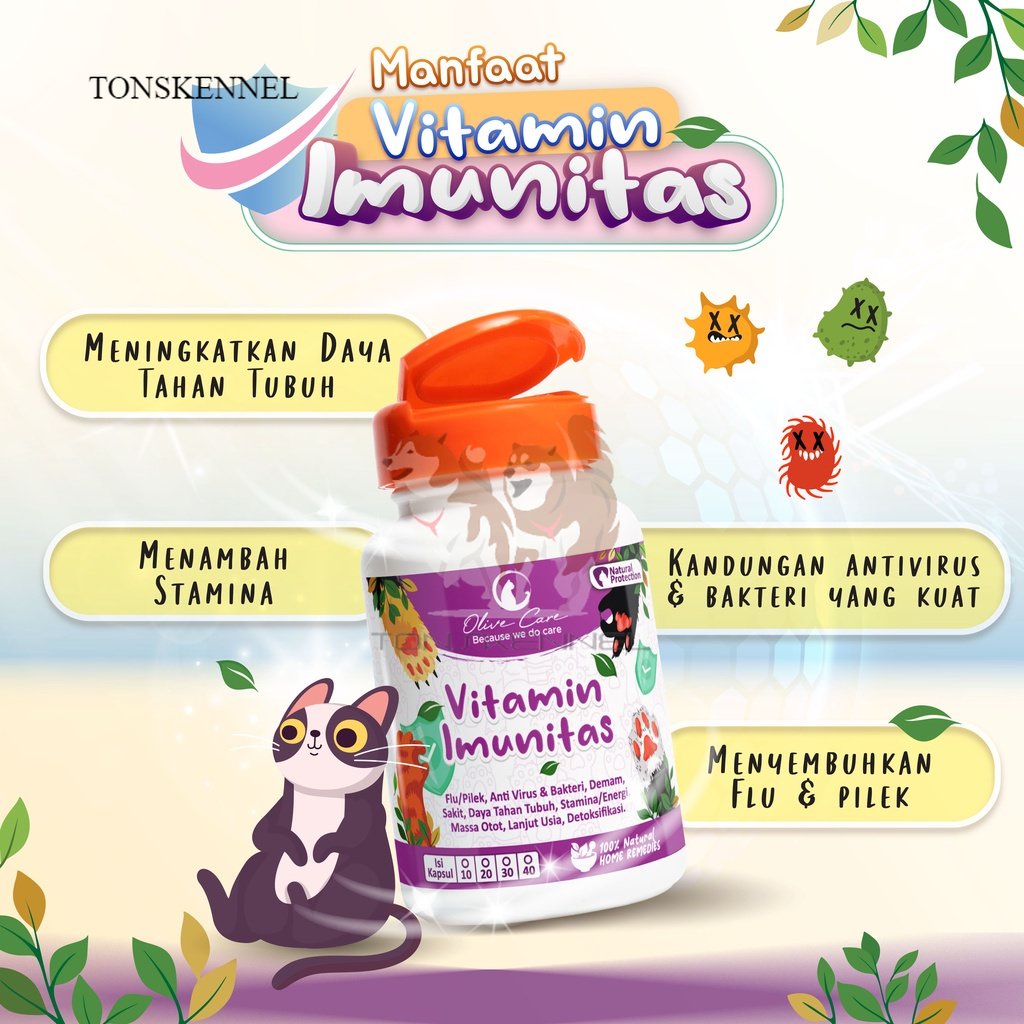 Olive Care Vitamin Kucing IMUNITAS untuk Daya Tahan Tubuh, Anti Sakit, Flu, Pilek, Mata Belekan, Demam, Lemes dan Lanjut Usia