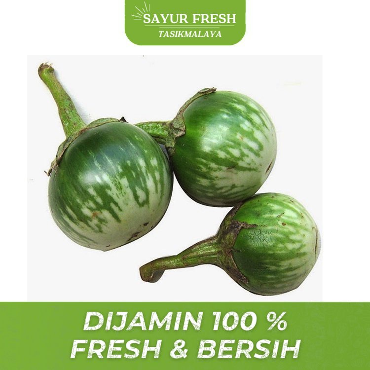 

Sayur Terong Lalap 250 gr - SAYUR FRESH TASIKMALAYA